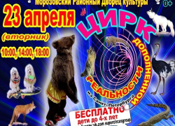 Фантастическое шоу теперь и в Морозовске: выиграй бесплатные билеты в цирк дополненной реальности