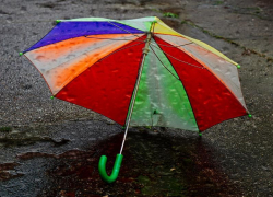 Дождливым и ветреным станет в Морозовске последний осенний день этого года