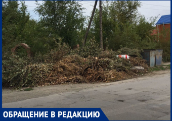 16 протоколов было составлено в сентября в отношении морозовчан, виновных в нарушении правил обращения с крупногабаритными отходами