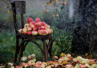 Утром 21 августа в Морозовске возможен небольшой дождь