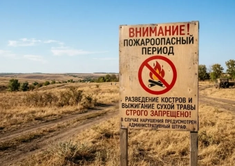 Костёр на участке может обойтись дорого: жителям Морозовска напомнили о жёстких запретах