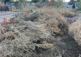 С кладбищ Морозовска за год было вывезено 700 кубометров мусора
