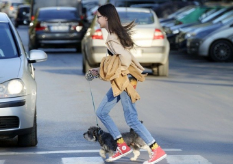 Стартовал всероссийский конкурс «Безопасная дорога – детям»
