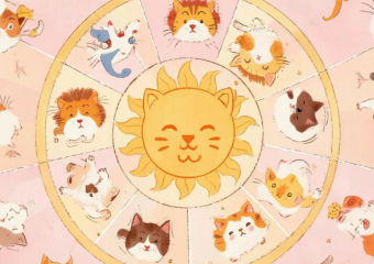 Что приготовили звезды морозовчанам в последнюю предновогоднюю неделю