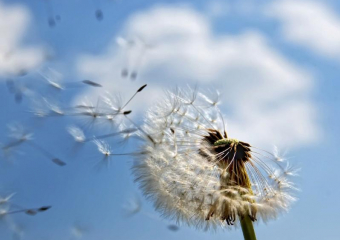 Теплый, солнечный день обещают морозовчанам и четверг