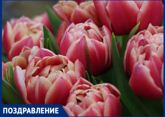 Всех социальных работников поздравили с профессиональным праздником