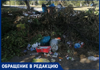 "Всё это будет плавать и квакать!" - морозовчанка попросила коммунальные службы чаще убирать мусор на улице Руднева возле баков
