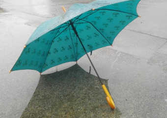 Дождливо и тепло будет в Морозовске в пятницу, 8 января