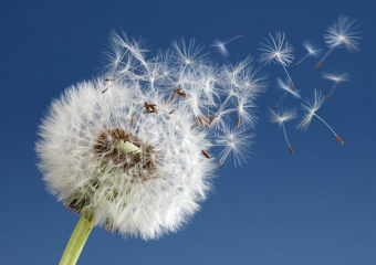 В Морозовск снова вернется тепло