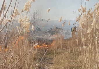В Морозовском районе продолжается действие запрета на выжигание сухой растительности и мусора 