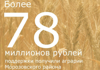 Более 78 миллионов рублей субсидий получили аграрии Морозовского района в 2022 году
