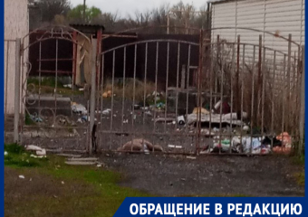 «Свалка под окнами и доберманы без контроля»: жители улицы Руднева просят срочного вмешательства властей