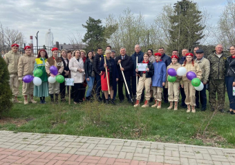 Декоративные яблони высадили в городском парке Морозовска 