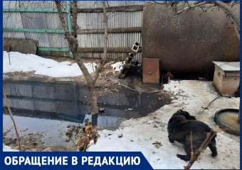 Зловонная жижа затопила дворы! - морозовчане