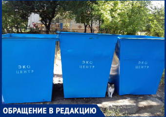Новые контейнеры стояли рядом с домом уже на следующий день после обращения, - морозовчанка