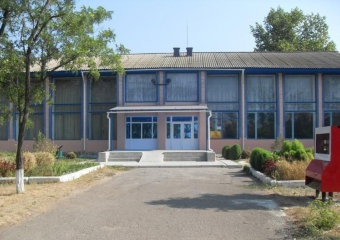 Универсальную спортивно-детскую площадку хотят установить в станице Вольно-Донской с помощью губернаторского проекта  