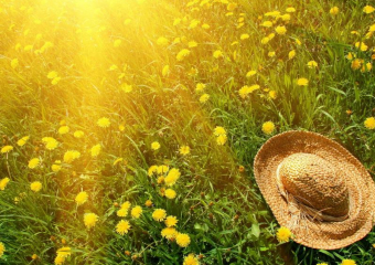 Довольно жаркий и солнечный день ожидается в Морозовске и в субботу