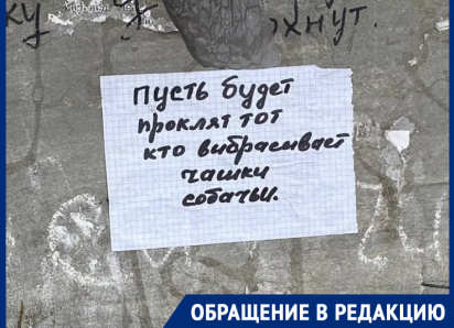 «Собаки становятся агрессивными и кусают детей»: жители Морозовска бьют тревогу из-за стаи на улице Ворошилова