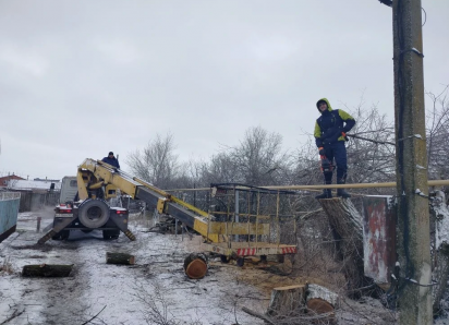 После публикации в «Блокноте» на Орджоникидзе обрезали аварийное дерево