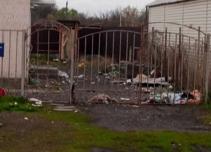 Грязный двор на Руднева уберут после публикации в «Блокноте»