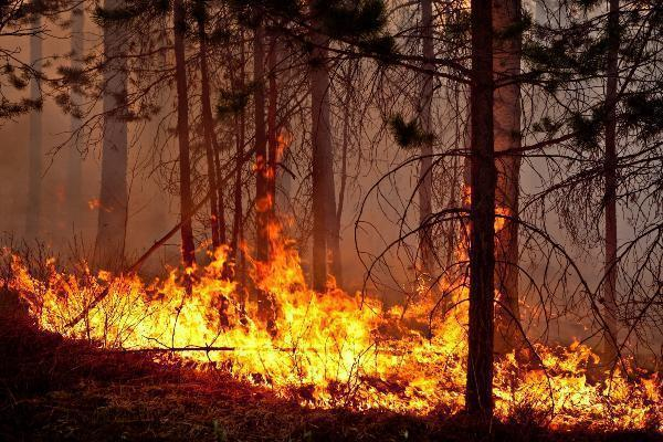 В Ростовской области снова объявлен высокий уровень пожароопасности