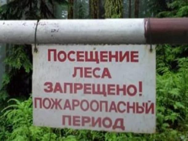 Прокурор Морозовского района назвал сроки запрета на посещение леса