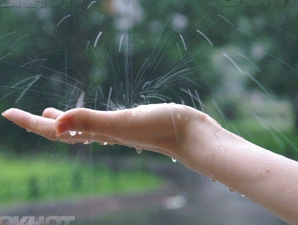 Жарко и мокро: в Морозовске продолжаются летние дожди