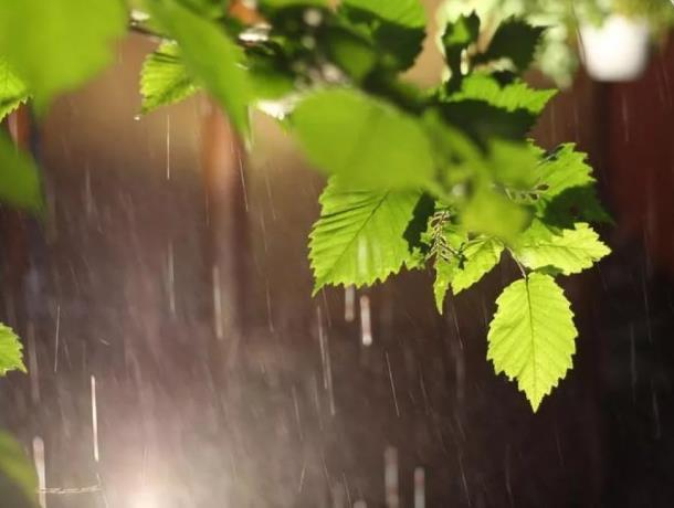 Небольшой дождь возможен в Морозовске вечером, 30 июня