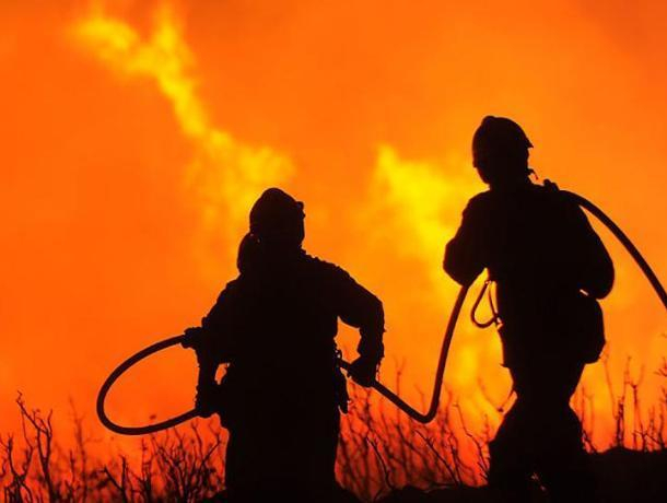 Чрезвычайная пожароопасность: запрет на посещение лесов Ростовской области продлили до 10 сентября