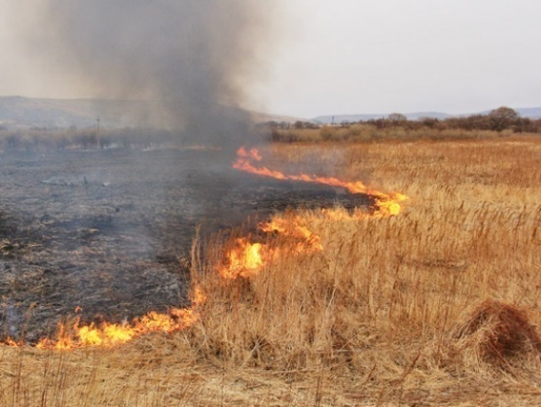 Возможность возникновения ландшафтных пожаров в Морозовском районе отметили в областном МЧС