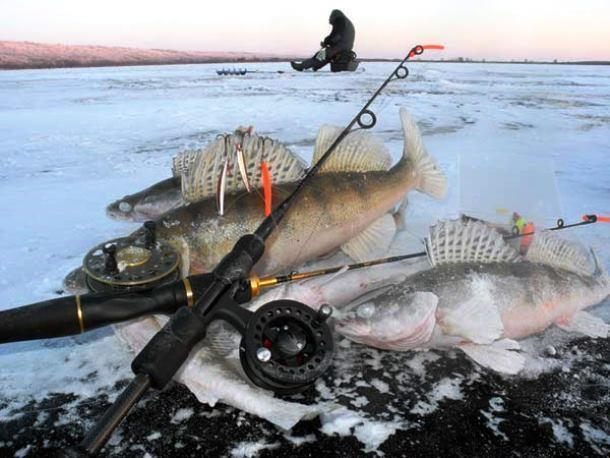 Топ-10 первоочередных покупок морозовчан к сезону зимней рыбалки
