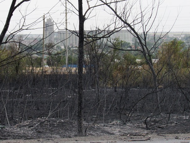 Пожаром выжгло огромные территории травы и леса рядом с Морозовском