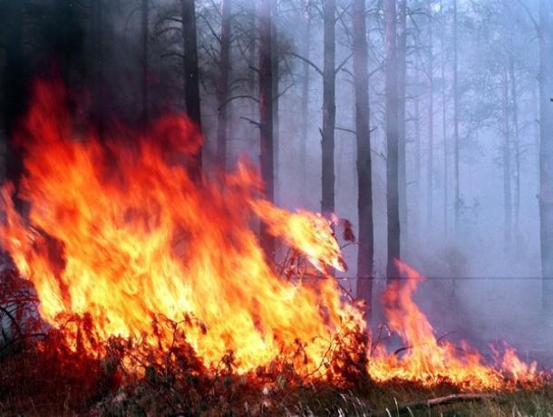 Особенности лесных пожаров в Морозовском районе назвали спасатели
