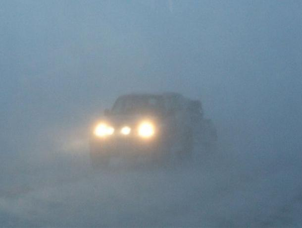 Почувствуй себя ёжиком в тумане: большую часть недели видимость в Морозовске будет ограничена