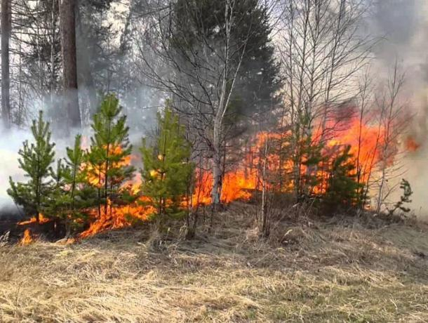Чрезвычайная пожароопасность в Морозовском районе сохранится до конца недели