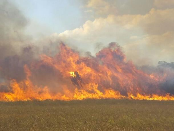 Самые пожароопасные места в Морозовском районе назвали пожарные