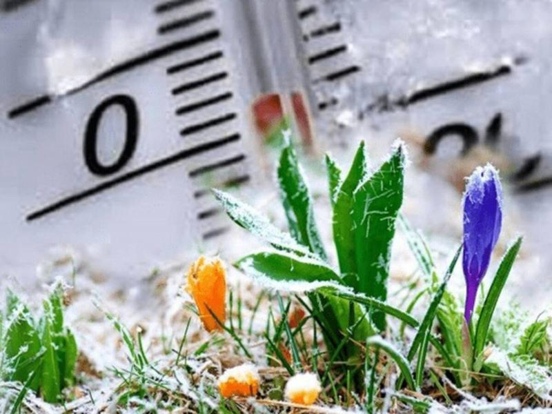 Зима в конце марта неожиданно вернется в Морозовск