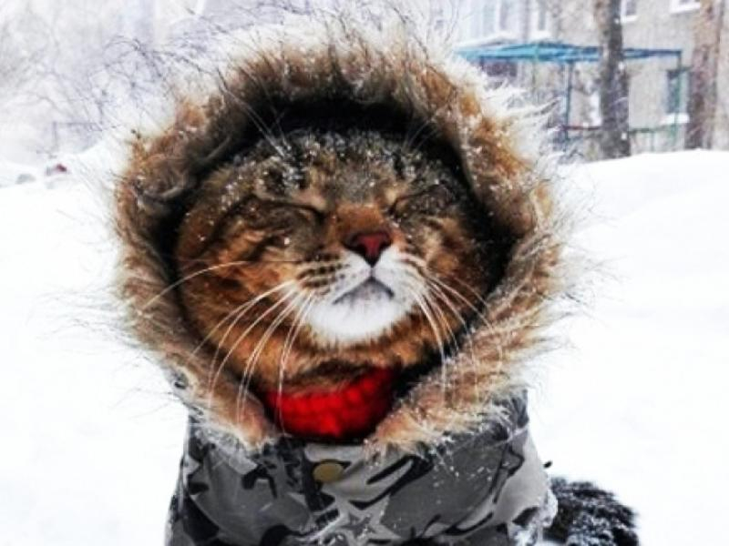 Сильный снегопад ожидается в Морозовске к вечеру, 30 декабря