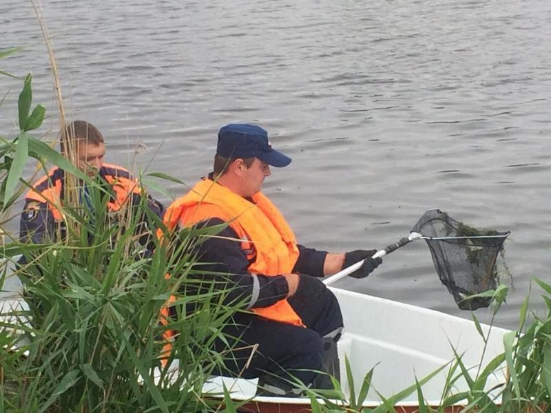 Мертвую рыбу из реки Быстрой в Морозовске выловили спасатели