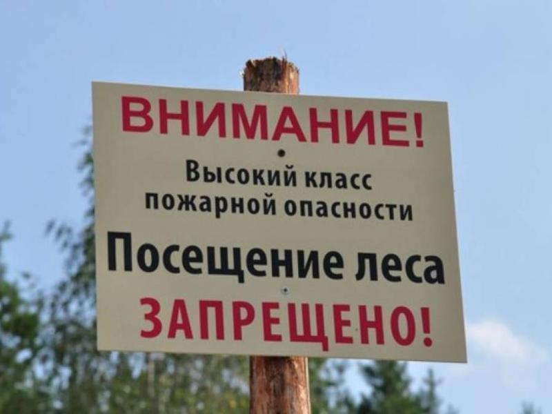 Запрет на посещение донских лесов продлили до 21 сентября