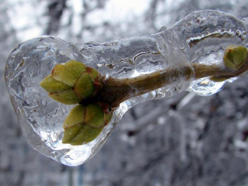 Впереди очередное похолодание: температура воздуха в Морозовске понизится  до -3