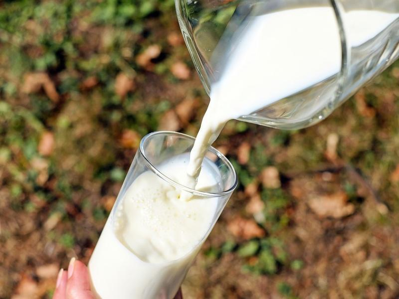 5,7% проб молочной продукции на Дону оказалась фальсификатом
