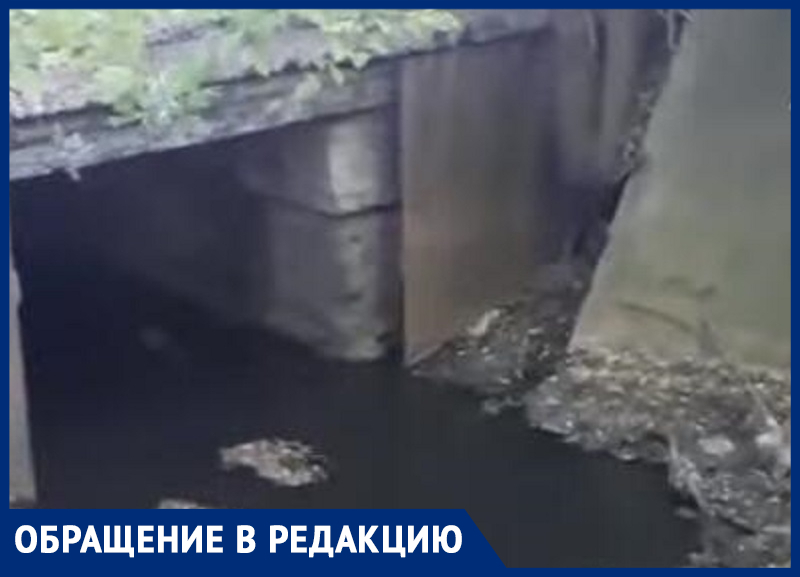 «Грязный поток» из неустановленного источника продолжает загрязнять реку Быстрая в Морозовске