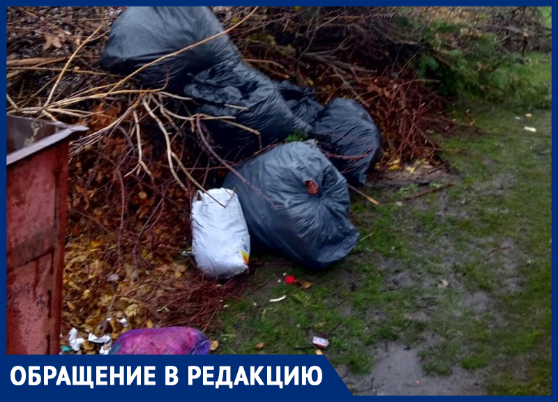 Неприятное соседство: жительница Морозовска пожаловалась на мусорные баки около ее дома