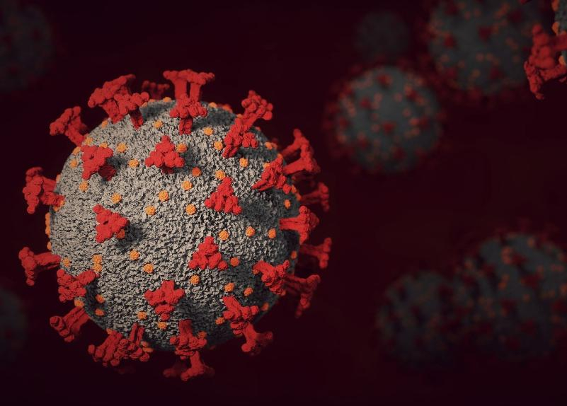 Что известно о новом варианте коронавируса «Кракен» рассказали в региональном Управлении Роспотребнадзора