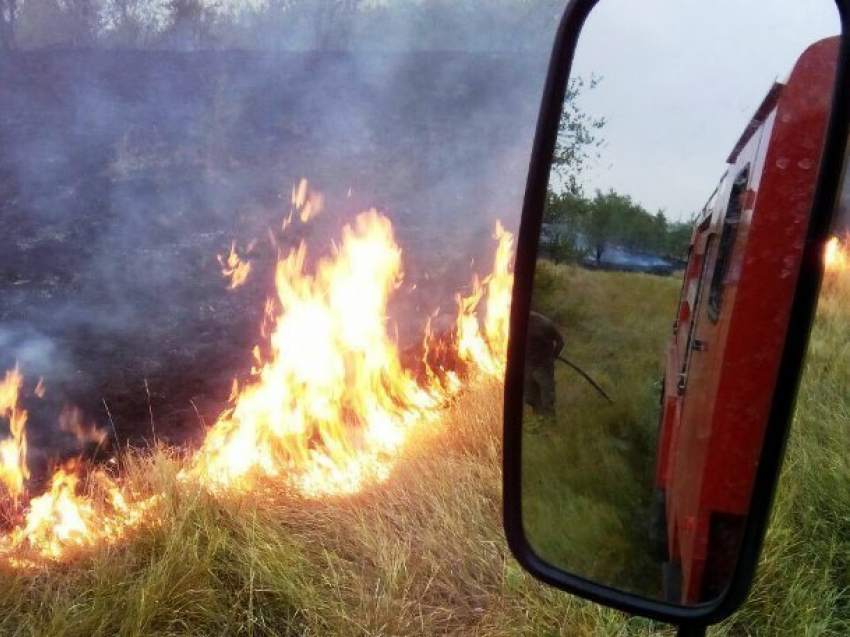 Высокая пожароопасность еще не миновала: морозовчанам по-прежнему запрещено посещать лес