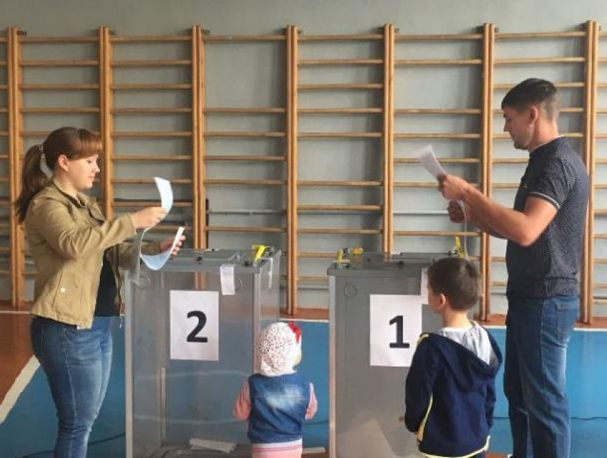 Предварительные итоги: Морозовский район оказался в числе самых активных на выборах