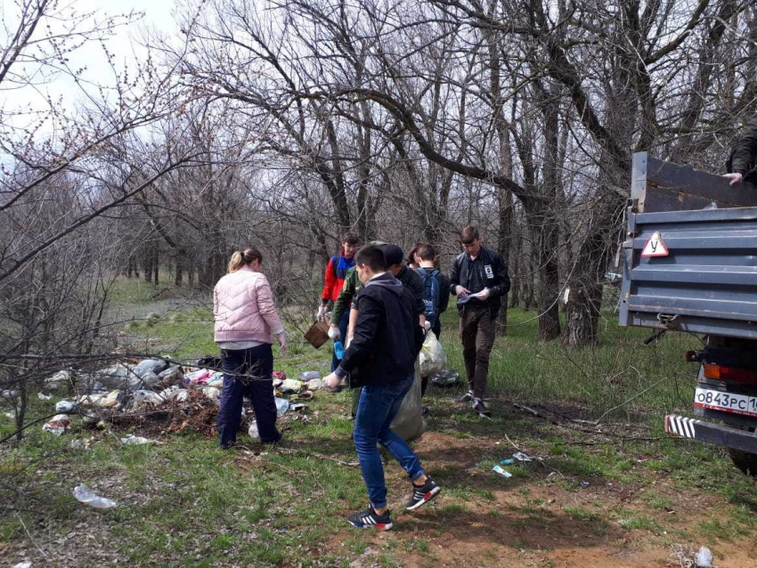 Пластиковые отходы, стеклянные бутылки и бытовой мусор убрали в лесу возле Морозовска