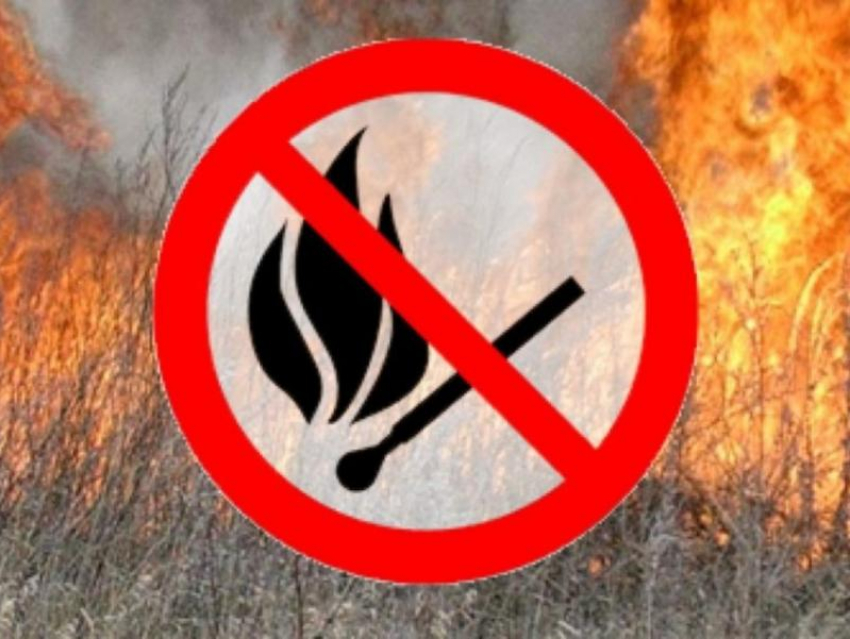 Высокая пожароопасность сохранится в большинстве районов Ростовской области
