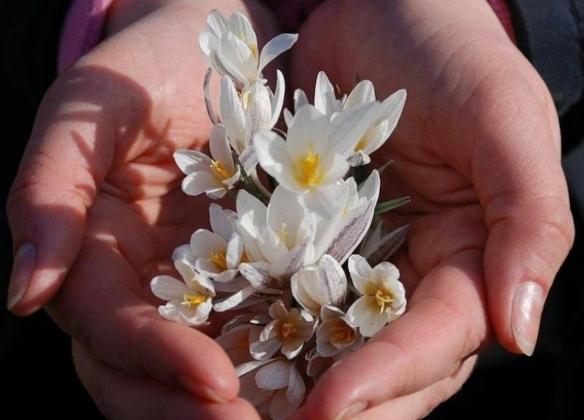 Потепление до +14 градусов обещают морозовчанам в субботу